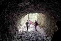 IMG_20260421_121732_102
