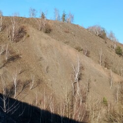Halda č. (podruhé)